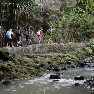 Group hiking through rainforest to waterfalls