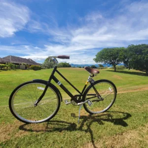 Five-day rental bike with helmet and lock
