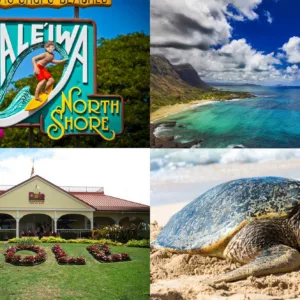 Tour bus stopping at scenic island location