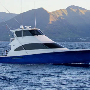 Private boat charter for up to six guests on Reel Addiction III